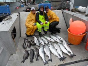 Limit of Silver Salmon at Larry Jarrett's Wild Alaska Fishing Lodge and Retreat