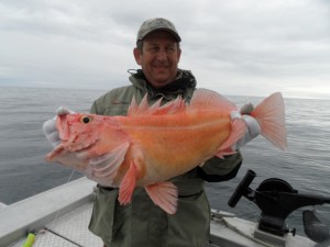 Southeast Alaska waters closed to harvest of rockfish species