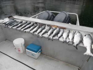 Limit of Silvers and King Salmon